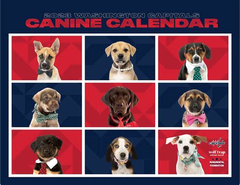 Capitals Canine Calendar 2023